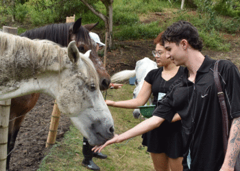 Buga promueve la adopción animal como un acto de amor y responsabilidad