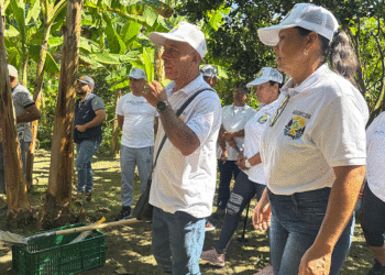 Campesinos de Andalucía se capacitan con Valle Agro para fortalecer sus cultivos