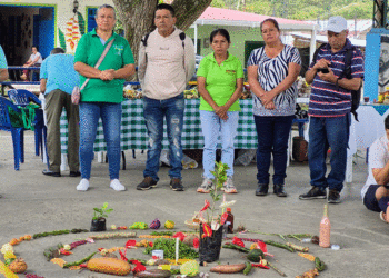 Campesinos de Buga fortalecen la conservación de semillas nativas