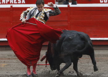 Corte Constitucional ratifica fin de las corridas de toros en Colombia