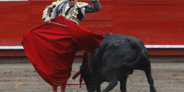 Corte Constitucional ratifica fin de las corridas de toros en Colombia