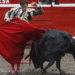 Corte Constitucional ratifica fin de las corridas de toros en Colombia