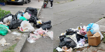 Denuncian mala disposición de basuras en la zona rosa del barrio Príncipe
