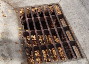 Preocupación en Tuluá por sumideros llenos de hojas