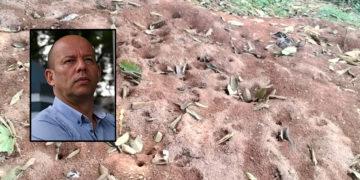 La apasionante vida del doctor Hormiga