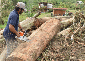En Buga atendieron daños ocasionados por vendaval en la vereda El Janeiro