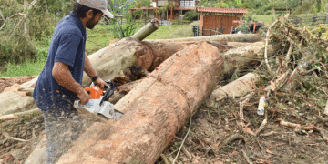 En Buga atendieron daños ocasionados por vendaval en la vereda El Janeiro
