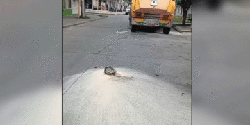 Hombre intentó prenderle fuego a chiva en Tuluá