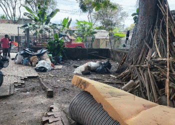 Comunidad indígena fue reubicada en zona rural de Sevilla tras un año de desplazamiento