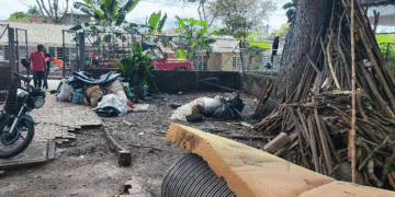 Comunidad indígena fue reubicada en zona rural de Sevilla tras un año de desplazamiento
