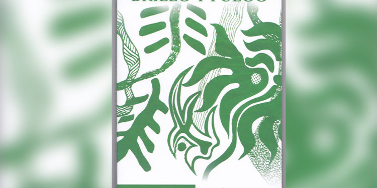 El pintor y escultor Ángel Eduardo Bernal lanza su nuevo libro “Brillo y Fuego”