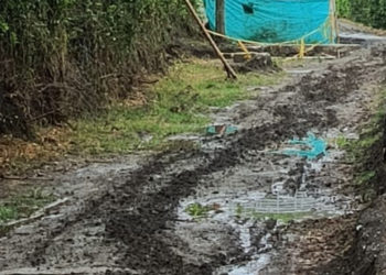 En San Pedro iniciarán obras de pavimento y alcantarillado