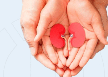 Gobernación del Valle promueve campaña para impulsar la donación de órganos y tejidos