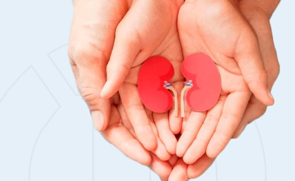 Gobernación del Valle promueve campaña para impulsar la donación de órganos y tejidos