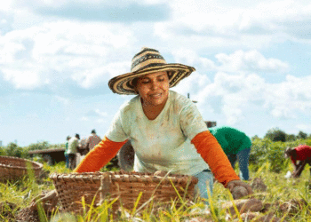 Gobierno asegura recursos para fortalecer proyectos productivos indígenas
