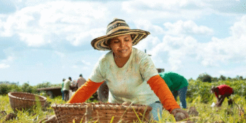 Gobierno asegura recursos para fortalecer proyectos productivos indígenas