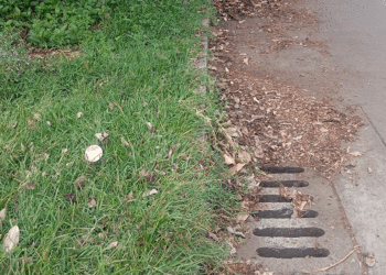 Habitantes de La Esperanza reclaman presencia de “escobitas” en su sector