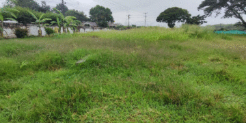 Padres y estudiantes reclaman limpieza en la sede Pedro María Marmolejo de Riofrío