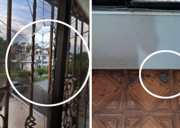 Cuidado con los lanza piedras (Más Caucherazos aquí) 👇🏽 