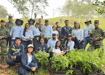 ¿Sabía usted que puede tener su propio bosque?