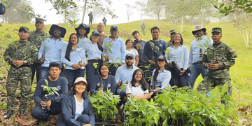 ¿Sabía usted que puede tener su propio bosque?