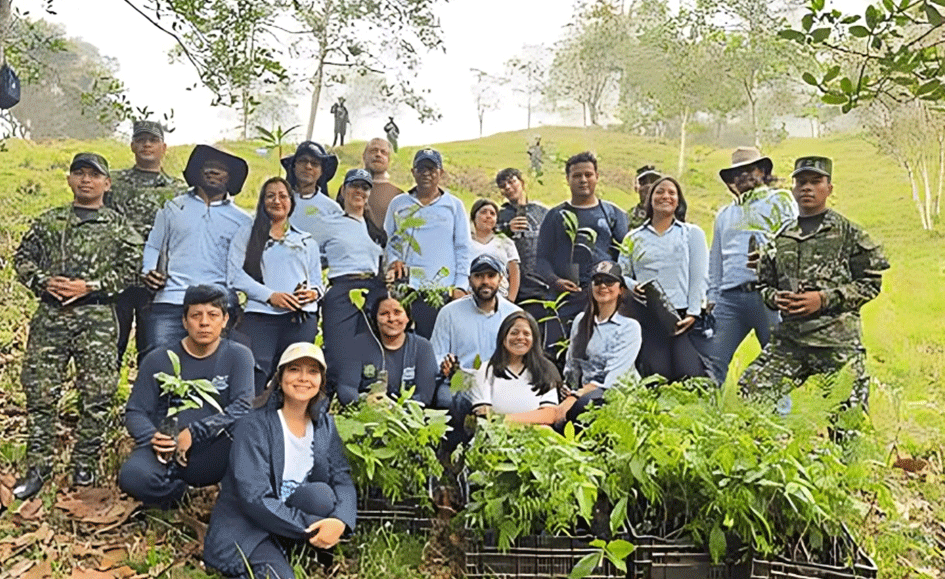 ¿Sabía usted que puede tener su propio bosque?
