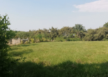 Alertan por estafadores que ofrecen falsos lotes en Tuluá