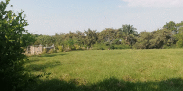 Alertan por estafadores que ofrecen falsos lotes en Tuluá