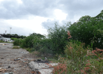 Asustan en el terminal viejo de Tuluá