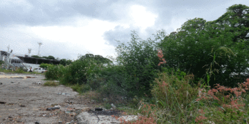 Asustan en el terminal viejo de Tuluá