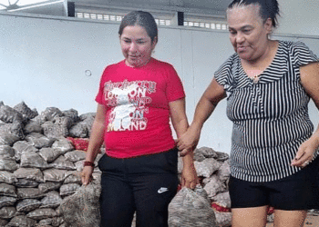 Gobierno Nacional entregó papa a familias vulnerables en Buga