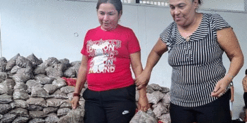 Gobierno Nacional entregó papa a familias vulnerables en Buga