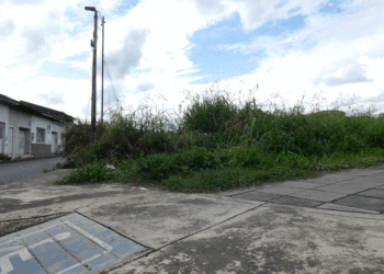 La maleza y el abandono en plena avenida del rio (Más Caucherazos aquí) 👇🏽 