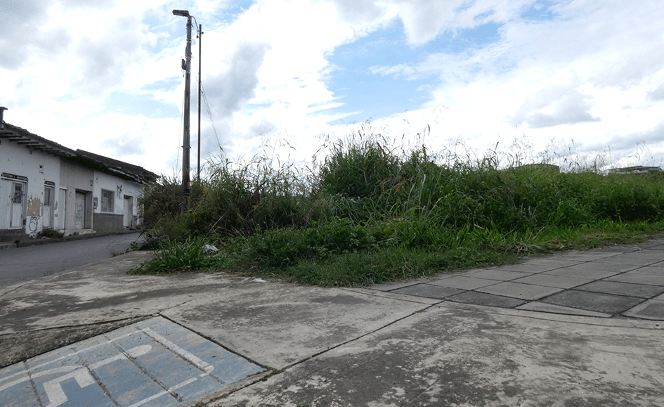 La maleza y el abandono en plena avenida del rio (Más Caucherazos aquí) 👇🏽