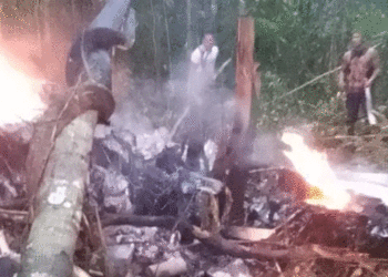 Murieron tres funcionarios de la Registraduría tras accidente de avioneta en Mitú