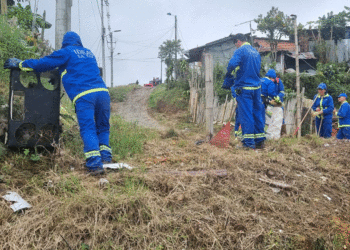 Recuperan zonas contaminadas en Sevilla tras jornada de limpieza municipal