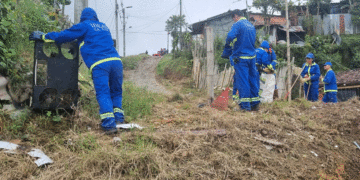 Recuperan zonas contaminadas en Sevilla tras jornada de limpieza municipal