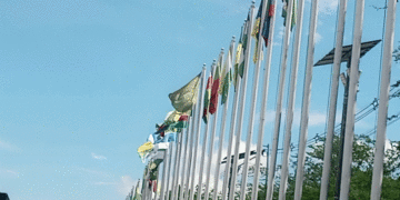 Pisa ¿es tan difícil cambiar las banderas desteñidas en Betania? (Más Caucherazos aquí) 👇🏽