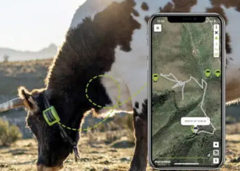 Gobierno nacional lanza sistema digital para el control y rastreo del ganado en tiempo real