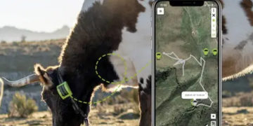 Gobierno nacional lanza sistema digital para el control y rastreo del ganado en tiempo real