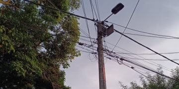 Habitantes de Portales del Río piden intervención ambiental por riesgo de árboles