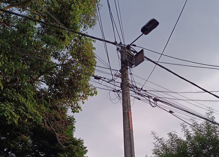 Habitantes de Portales del Río piden intervención ambiental por riesgo de árboles