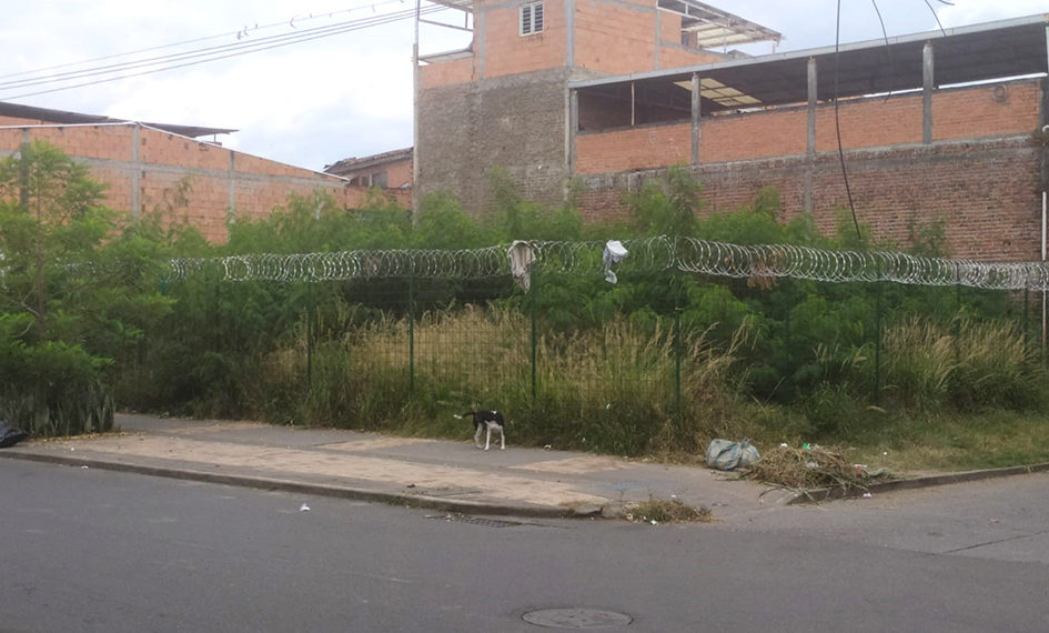 Habitantes del barrio La Ceiba entre la maleza (Más Caucherazos aquí) 👇🏽