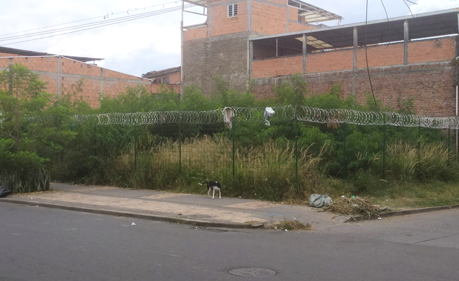 Habitantes del barrio La Ceiba entre la maleza (Más Caucherazos aquí) 👇🏽 
