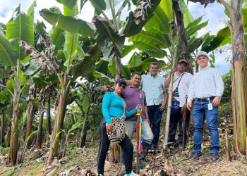 Más insumos para las comunidades indígenas: inversión de $500 millones impulsa su producción