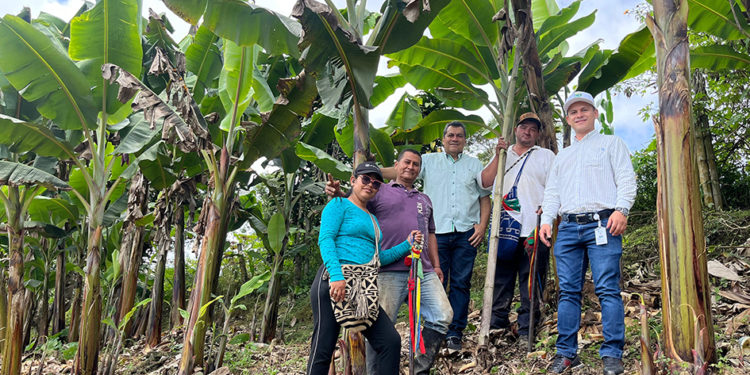 Más insumos para las comunidades indígenas: inversión de $500 millones impulsa su producción