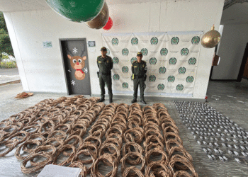 Duro golpe a la comercialización ilegal de pólvora en Buga (Más Caucherazos aquí) 👇🏽 