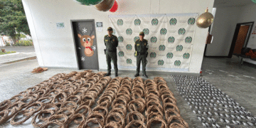 Duro golpe a la comercialización ilegal de pólvora en Buga (Más Caucherazos aquí) 👇🏽 