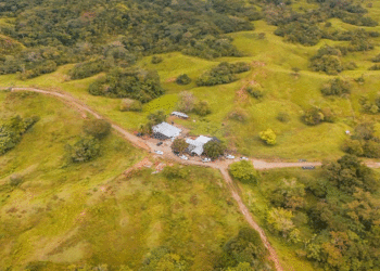 Gobierno pondrá en marcha la compra de tierras a bancos para campesinos y comunidades étnicas