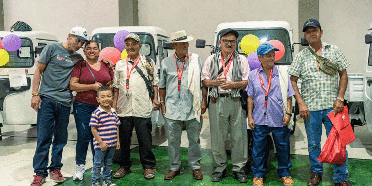 Seis caballos carretilleros fueron jubilados en Caicedonia